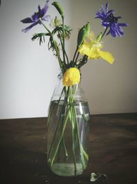 Close-up of flowers in vase