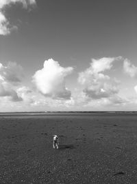 Dog running at beach against sky