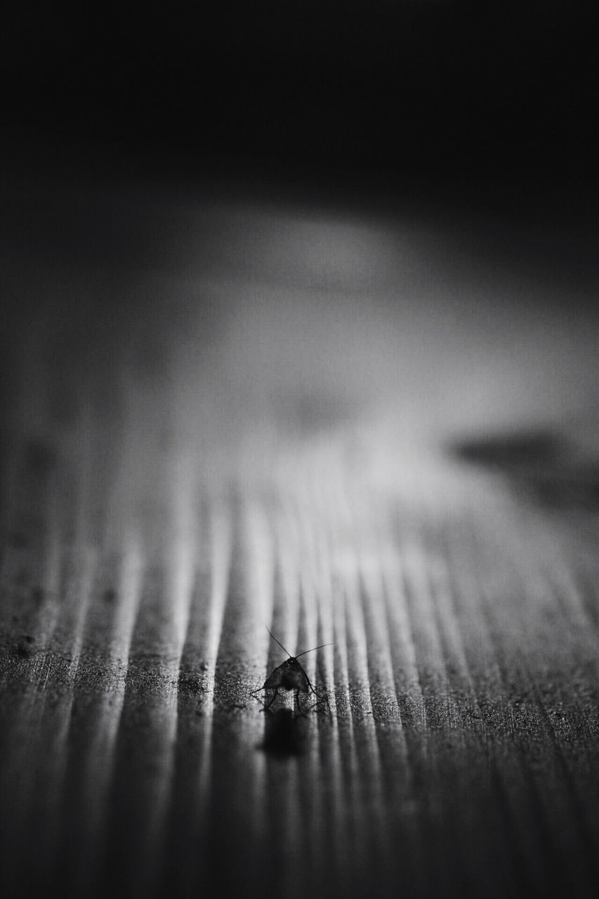 selective focus, close-up, wood - material, no people, indoors, day