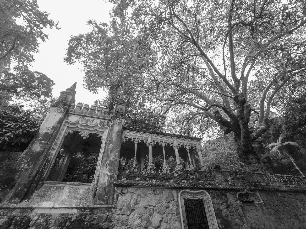 tree, architecture, plant, built structure, black and white, history, building exterior, low angle view, the past, nature, monochrome photography, no people, day, monochrome, ruins, building, sky, old, branch, abandoned, outdoors, growth, house, old ruin, damaged, travel destinations, religion, place of worship, ancient, rundown