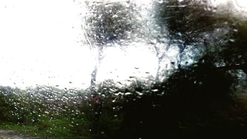 Close-up of waterdrops on glass against trees