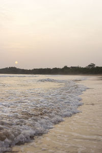 Scenic view of beach at sunset