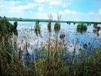 Scenic view of lake against sky