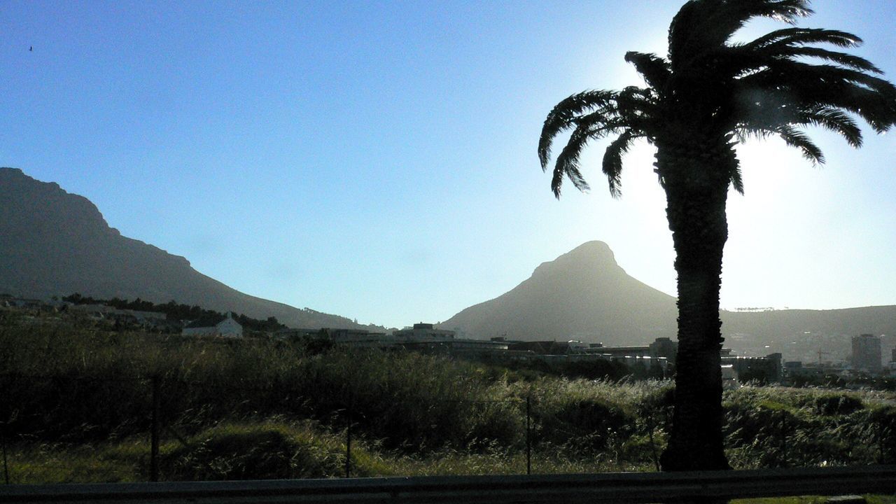 SILHOUETTE PALM TREES AGAINST MOUNTAINS