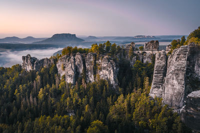 environment