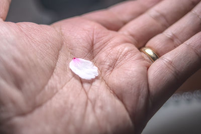 Close-up of hand holding pink flower