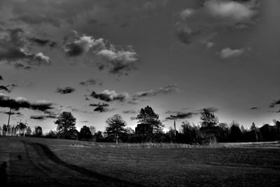 Trees on field against sky