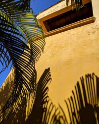 Low angle view of palm tree against sky