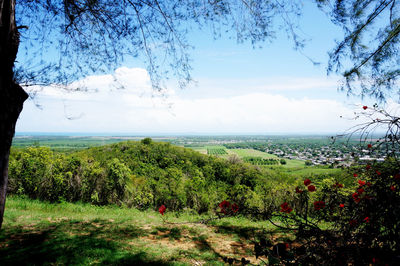 Scenic view of landscape against sky