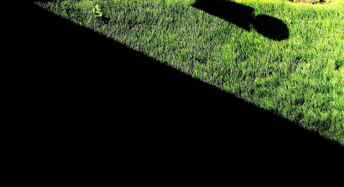 Close-up of shadow on floor