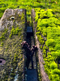 Close-up of man on rock