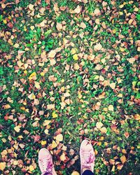 Low section of person standing by leaves on field