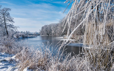 Scenic view of lake against sky during winter