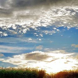 Scenic view of field against cloudy sky