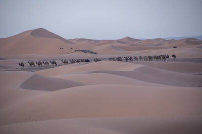 Scenic view of desert against sky