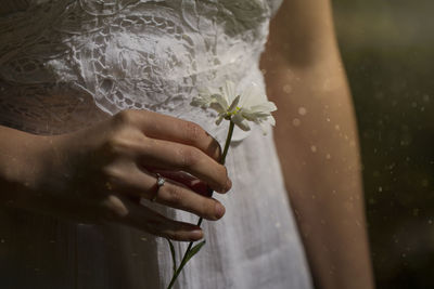 Midsection of woman holding flowering plant