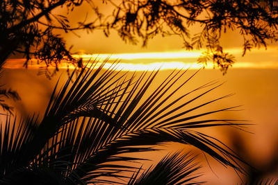 Silhouette palm tree against romantic sky at sunset