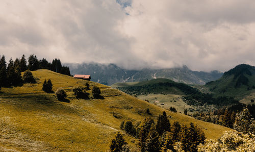 Scenic view of landscape against sky