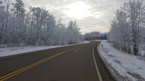 Road amidst trees against sky