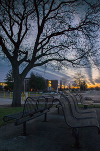 Empty bench in park