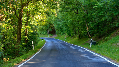 Empty curved asphalt road amidst trees in forest