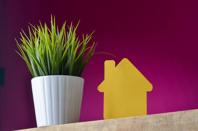 Green plant in white pot with colorful house cardboard