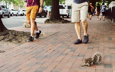 Low section of man with dog walking on street