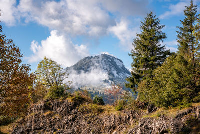 Scenic view of trees and mountains against sky