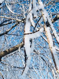 Low angle view of frozen bare tree against blue sky