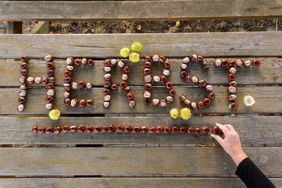 Directly above shot of cropped hand forming text with nut on table