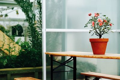 Flower pot on table in yard