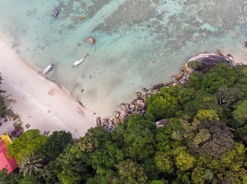 High angle view of trees on beach