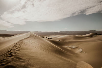 Scenic view of desert