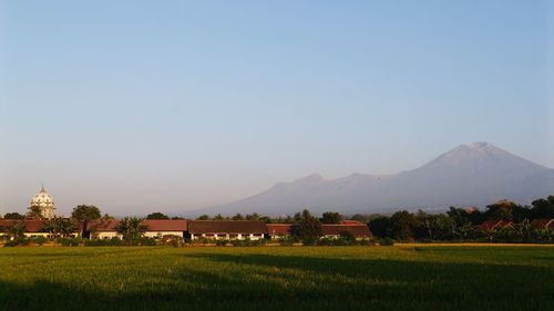 Scenic view of grass and houses against clear sky