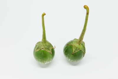 Close-up of green chili pepper against white background