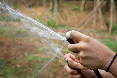 Close-up of man hand holding grass