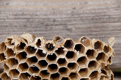 Close-up of honeycomb by wooden wall