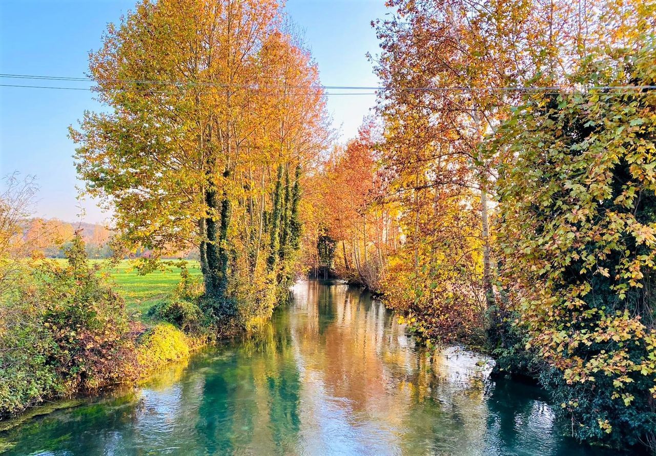 SCENIC VIEW OF AUTUMNAL BY TREES DURING AUTUMN