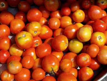 High angle view of tomatoes in market