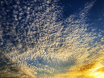 Low angle view of tree against sky during sunset