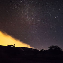 Silhouette trees against sky at night