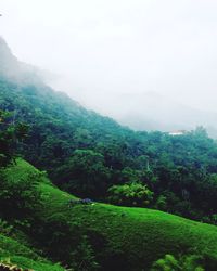 Scenic view of tree mountains against sky