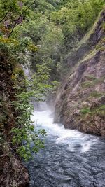 Scenic view of waterfall in forest