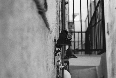 Close-up of horse hanging on wall