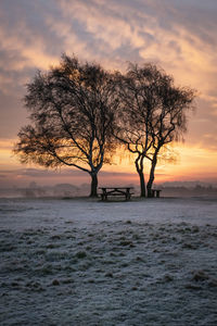 Bare trees on snow covered landscape against sky during sunset