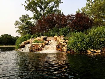 Scenic view of river in forest