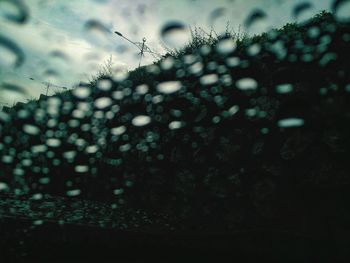 Close-up of wet spider on web against sky