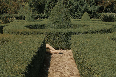 Woman standing in farm