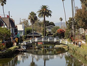 Reflection of palm trees in water