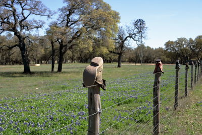 People on field by trees against sky